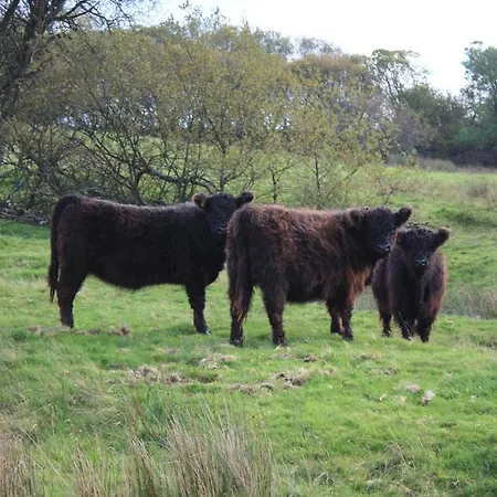 The White Horse Bunkhouse Hostel