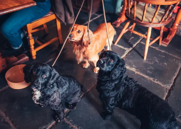 بيت شباب The White Horse Bunkhouse Threlkeld